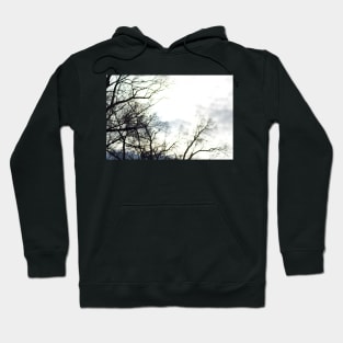 distorted tree Hoodie